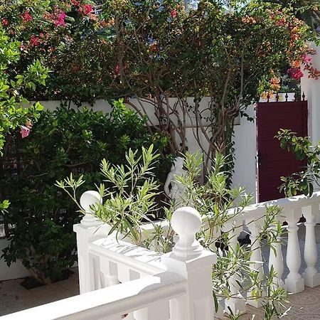 Apartamento Luminoso Con Patio Y Jardin 拉克鲁斯 外观 照片