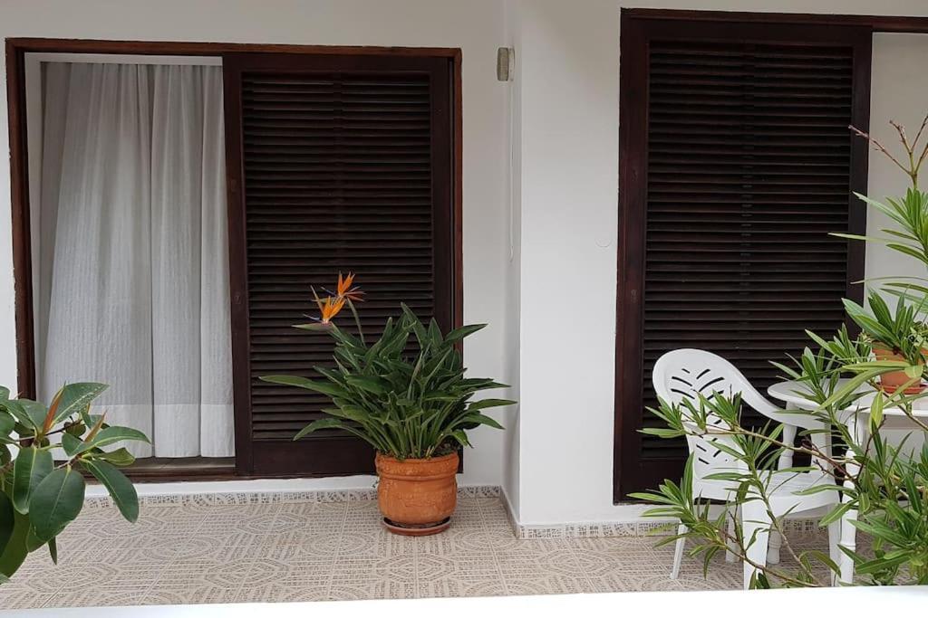 Apartamento Luminoso Con Patio Y Jardin 拉克鲁斯 外观 照片