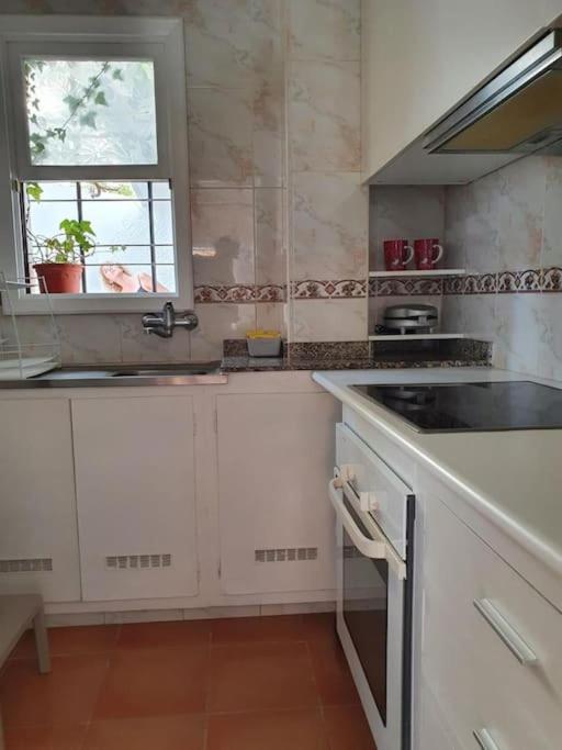 Apartamento Luminoso Con Patio Y Jardin 拉克鲁斯 外观 照片