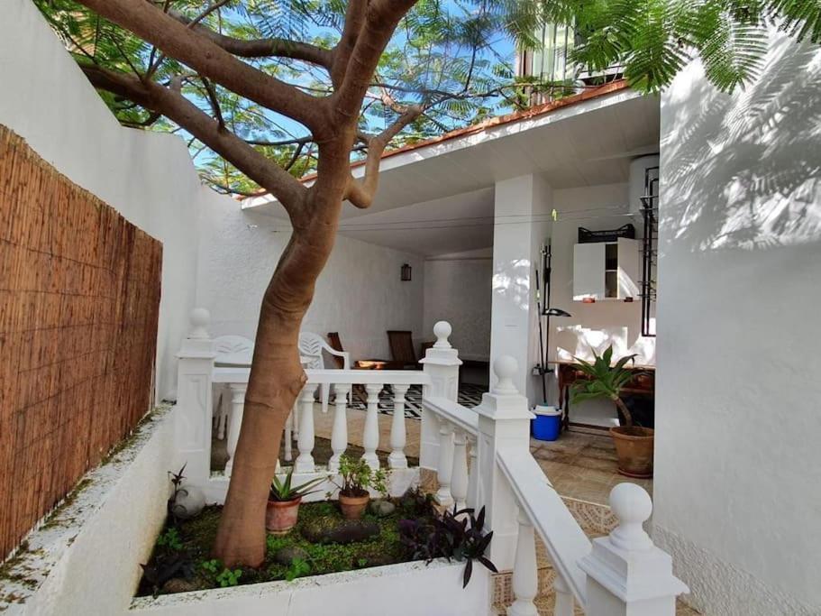 Apartamento Luminoso Con Patio Y Jardin 拉克鲁斯 外观 照片