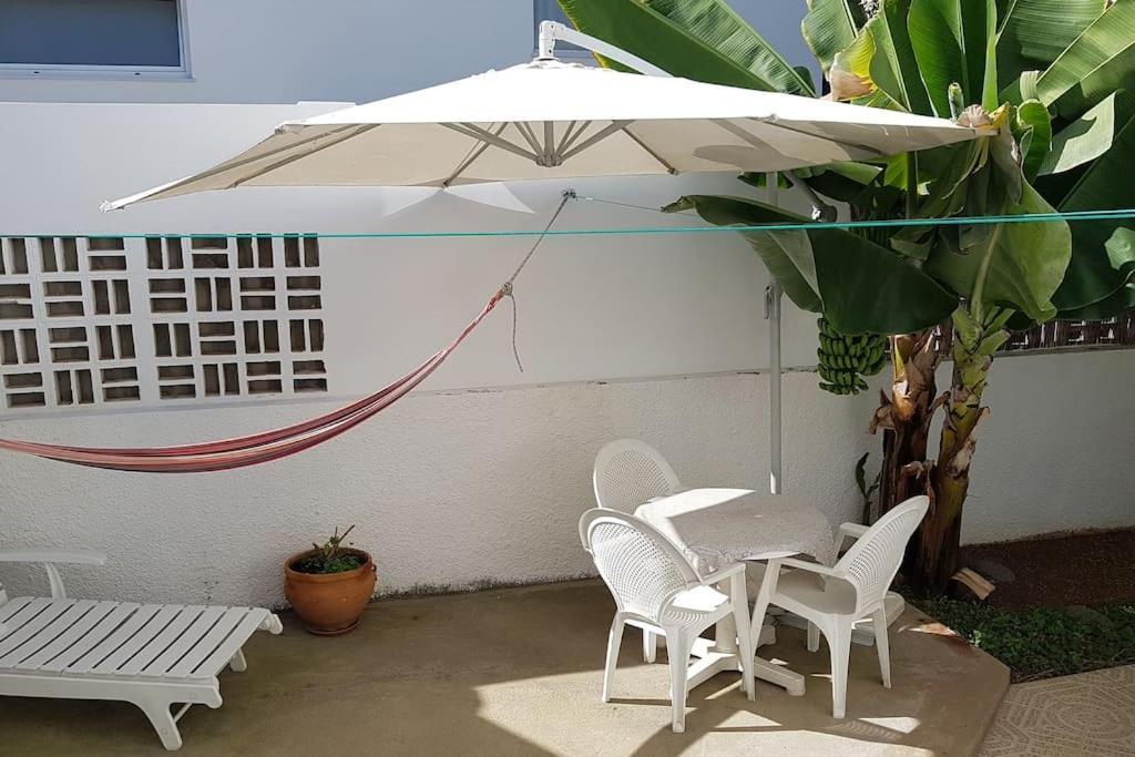Apartamento Luminoso Con Patio Y Jardin 拉克鲁斯 外观 照片